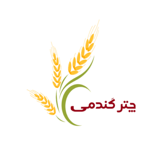 چتر گندمی